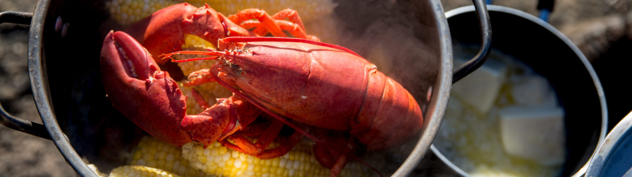 Cooking Lessons from a Maine Lobsterman recipe image