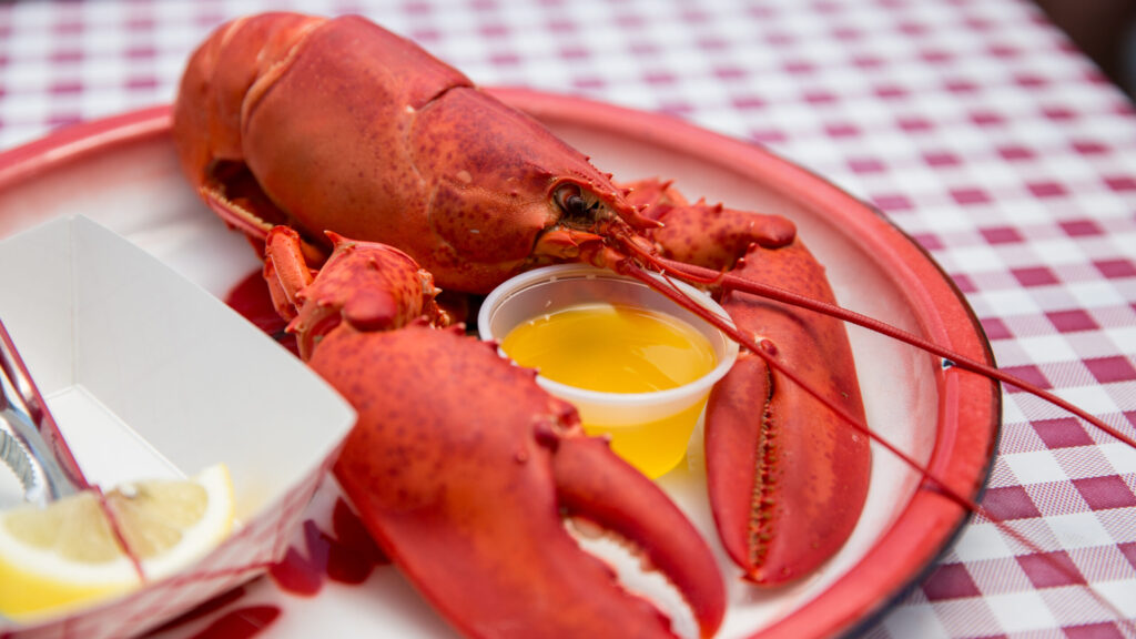 The Inside Scoop: Answers to FAQs About Maine Lobster recipe image