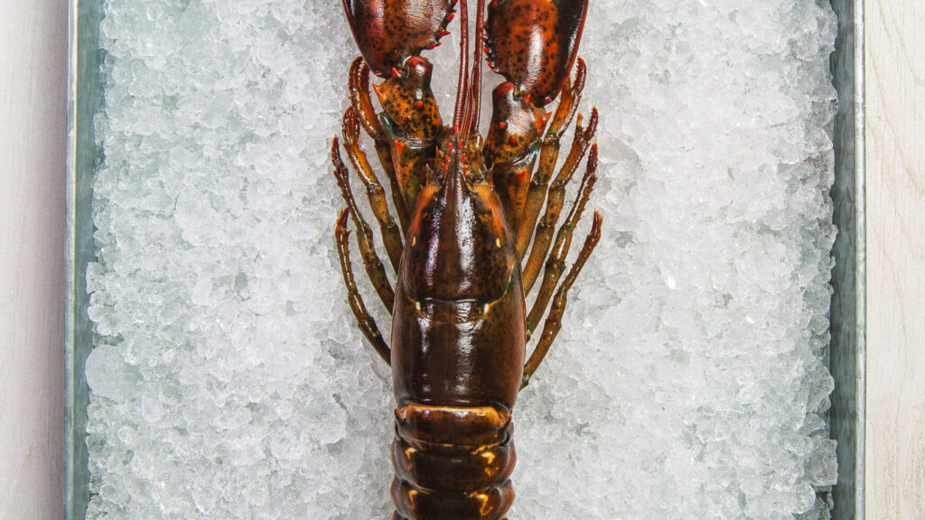 How to Boil Lobster recipe image