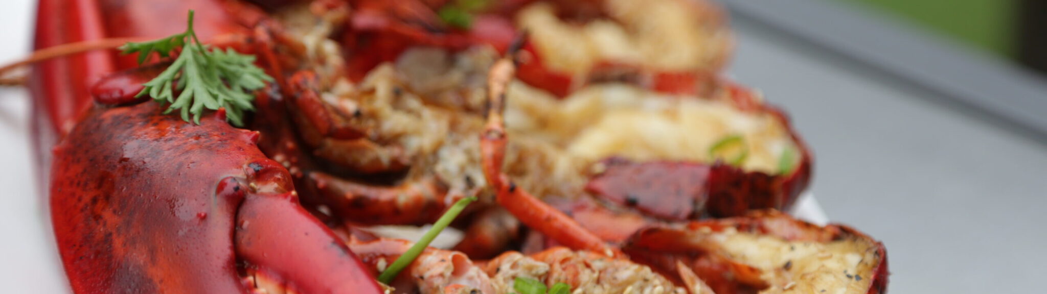 Grilled Maine Lobster with Ginger-Citrus and Scallions recipe image