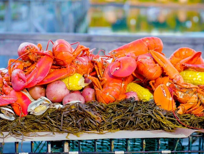 Maine Lobster Boil recipe image