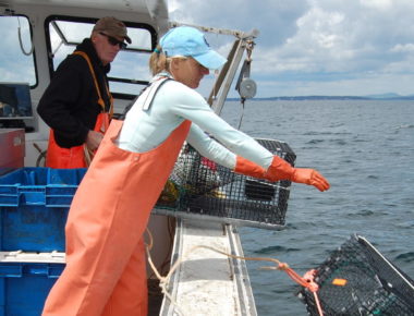 Fishermen + Scientists = If not Love, Friends with Benefits