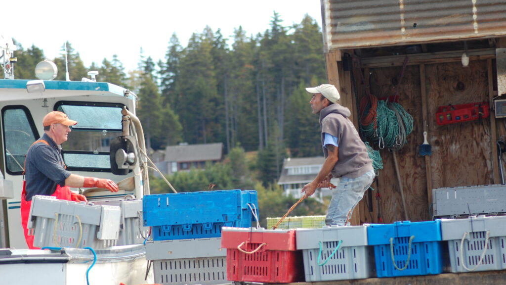 Behind Every Good Fisherman, there’s a Busy Wharf recipe image