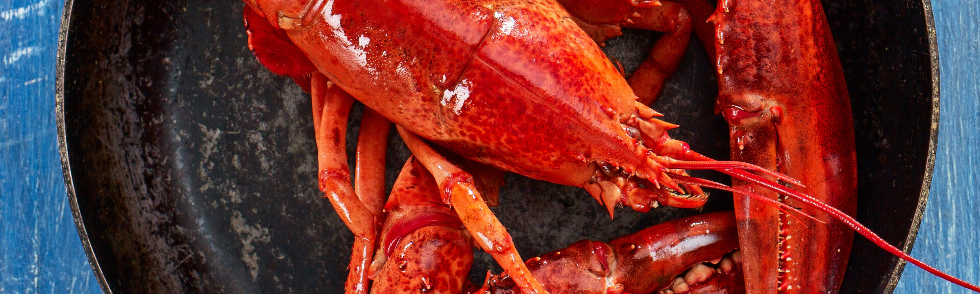 Maine Lobster Nutritional Information recipe image