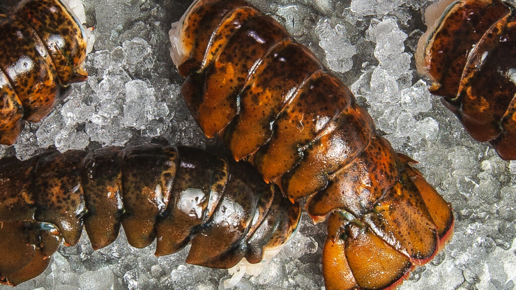 Why Make It Maine? Cooking with Raw Lobster recipe image