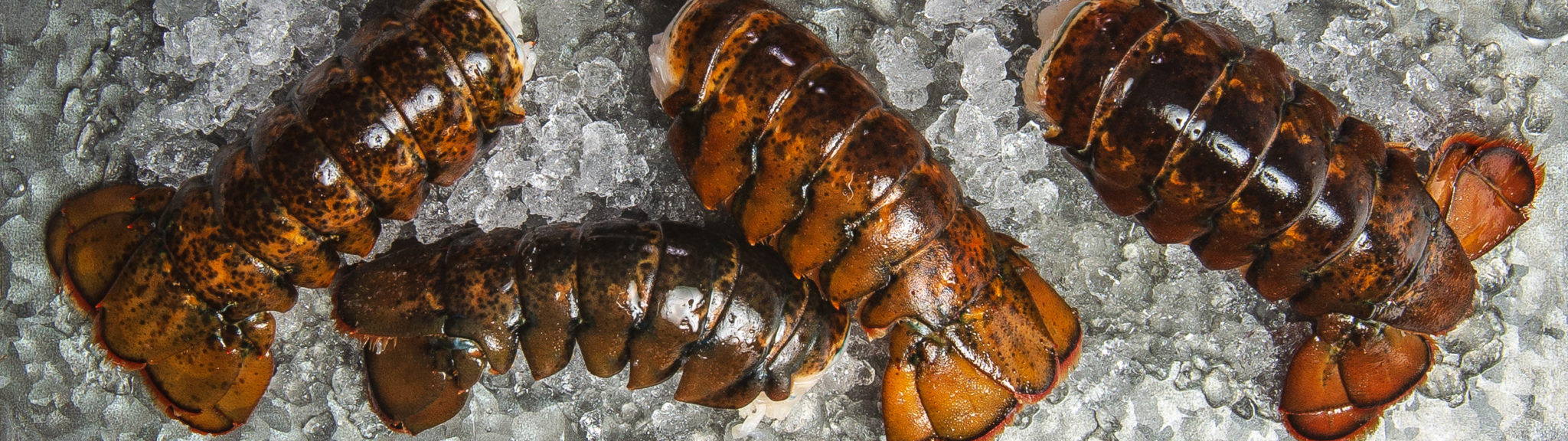 Why Make It Maine? Cooking with Raw Lobster recipe image