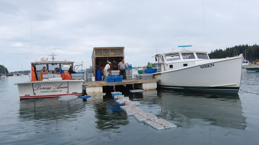 From Maine’s Shores to Conscientious Consumers recipe image