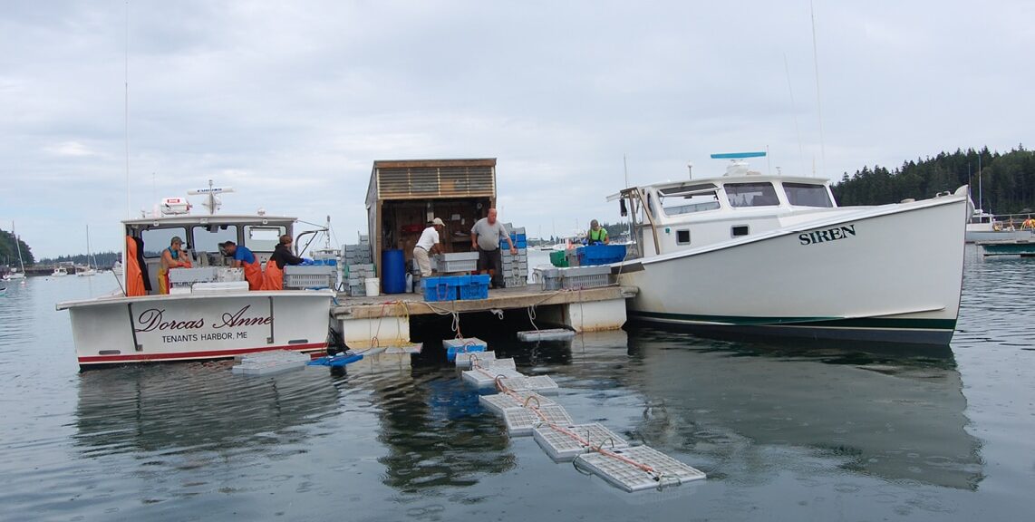 From Maine’s Shores to Conscientious Consumers recipe image