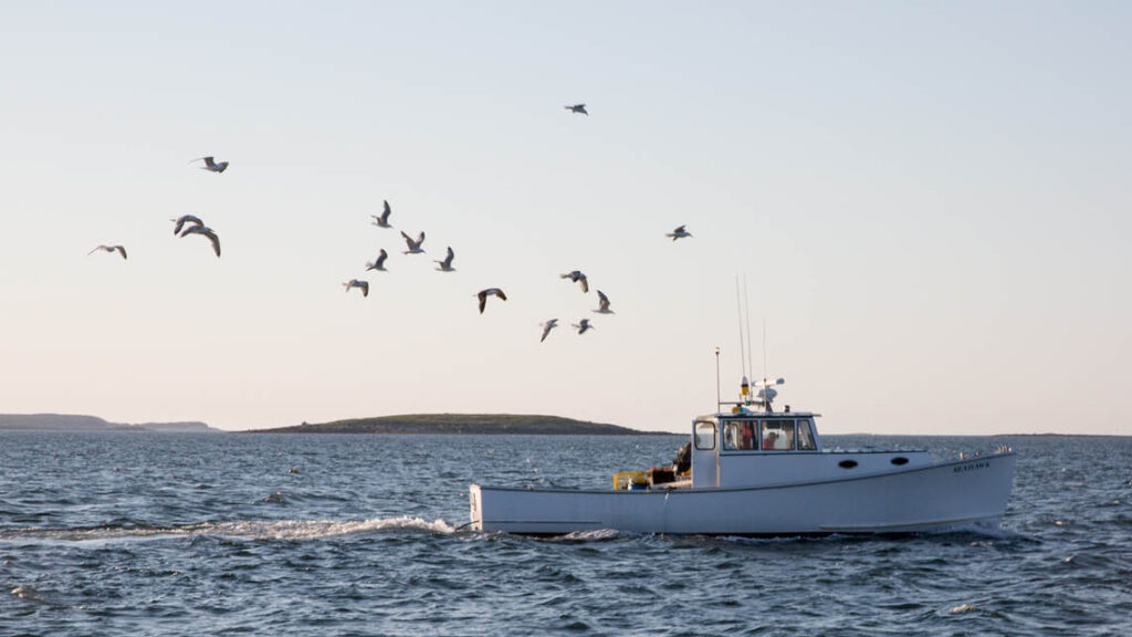 Take a Tour on a Lobster Boat recipe image