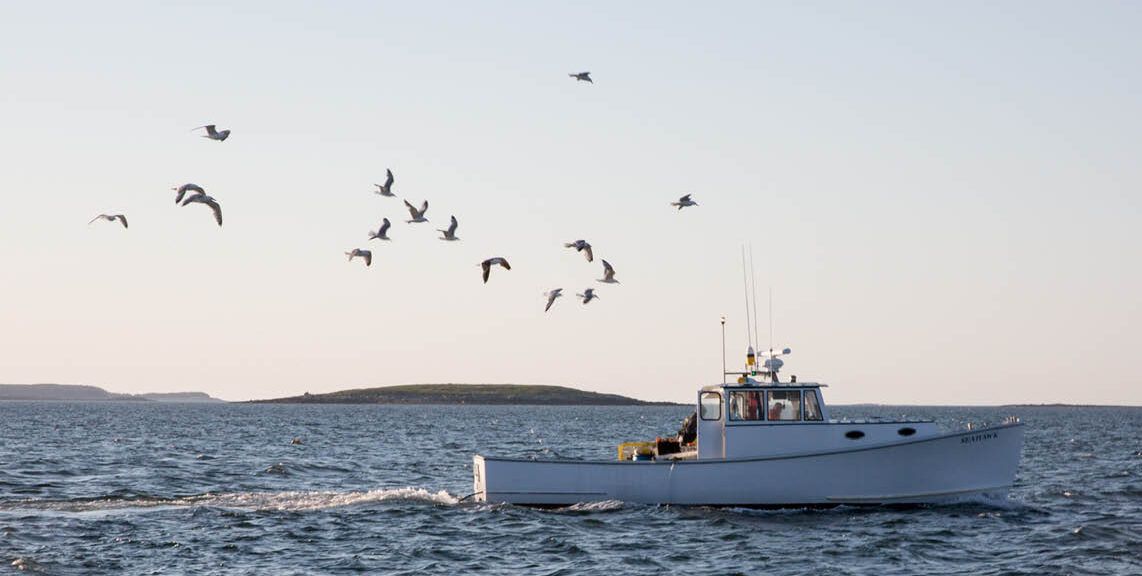 Take a Tour on a Lobster Boat recipe image