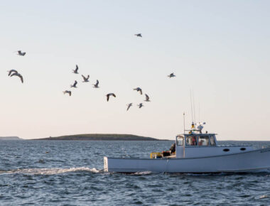 Take a Tour on a Lobster Boat