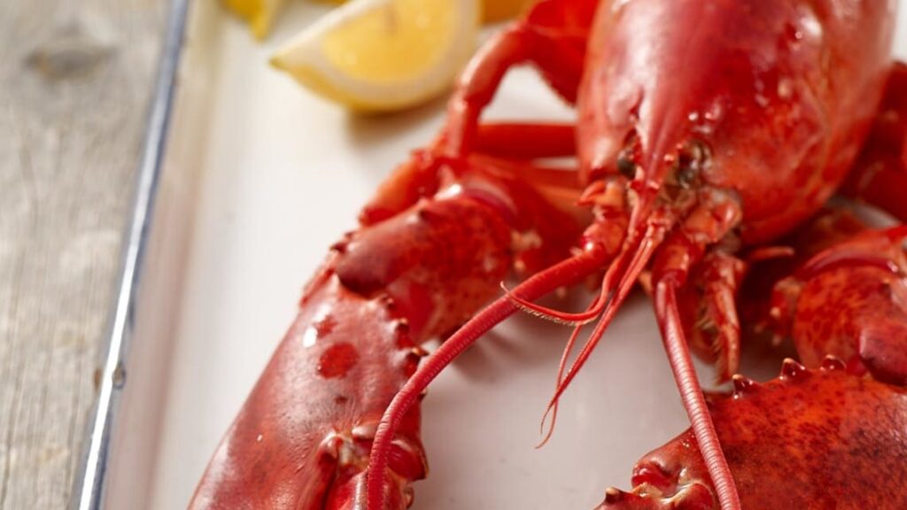 How to Steam Lobster recipe image