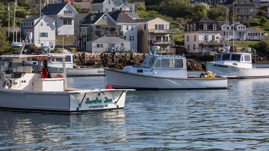 Sustaining Maine’s Pristine Coastlines recipe image