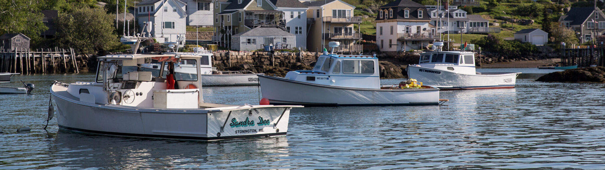 Sustaining Maine’s Pristine Coastlines recipe image