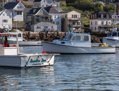 Sustaining Maine’s Pristine Coastlines