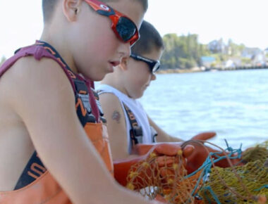 Sustainability at the Heart of the Maine Lobster Industry