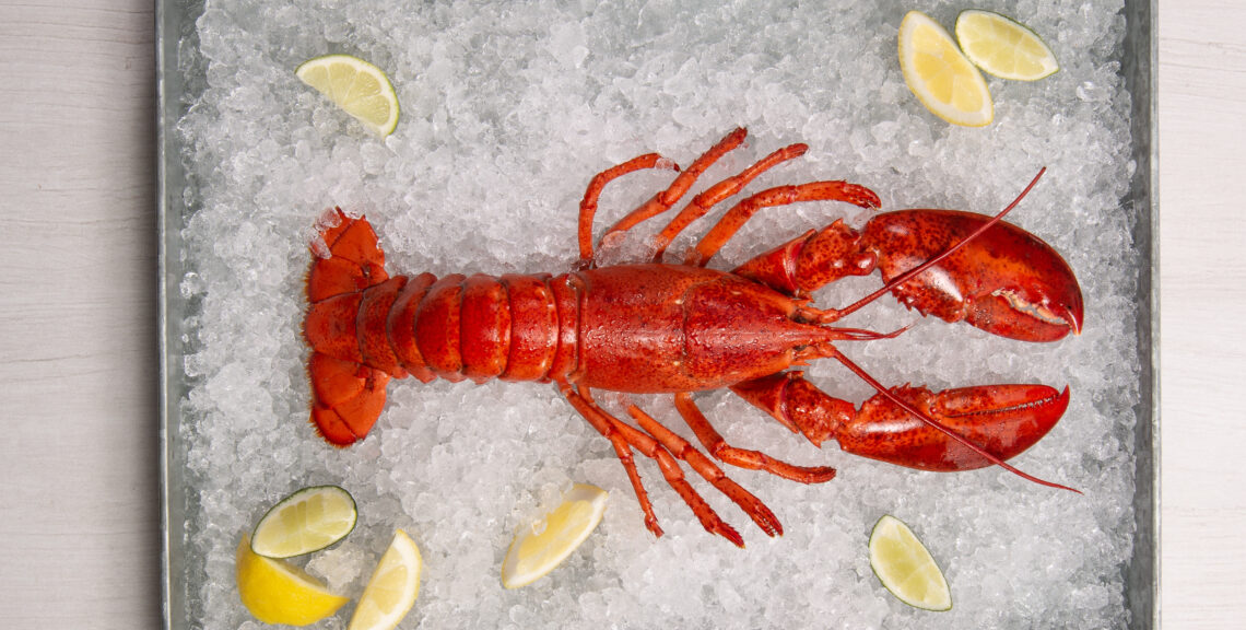 Why Make It Maine? Preparing Cooked Lobster Products recipe image